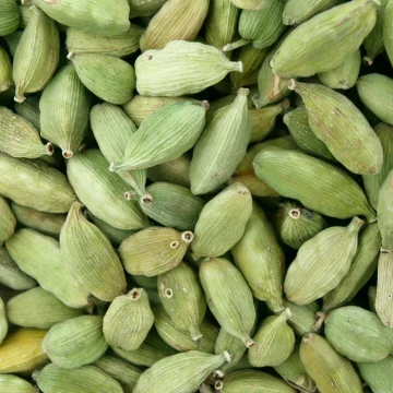 Kardamovník obyčajný