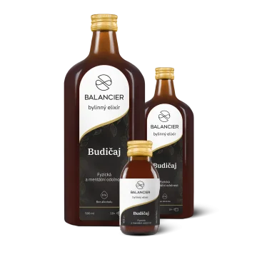 Ut finibus eget justo vel consectetur.